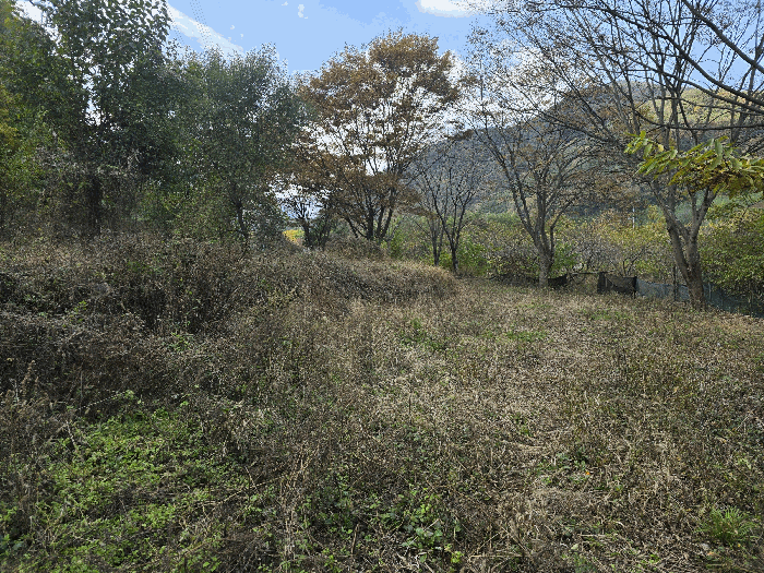 기호(3) 전경(동측에서 촬영)
