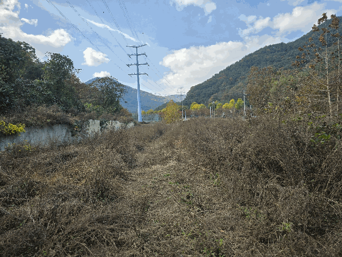기호(4,5) 전경(동측에서 촬영)