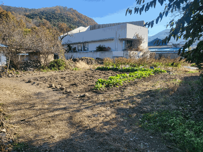 본건 전경