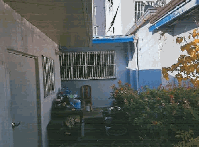 【 제시외건물 ㉠, ㉡ 】