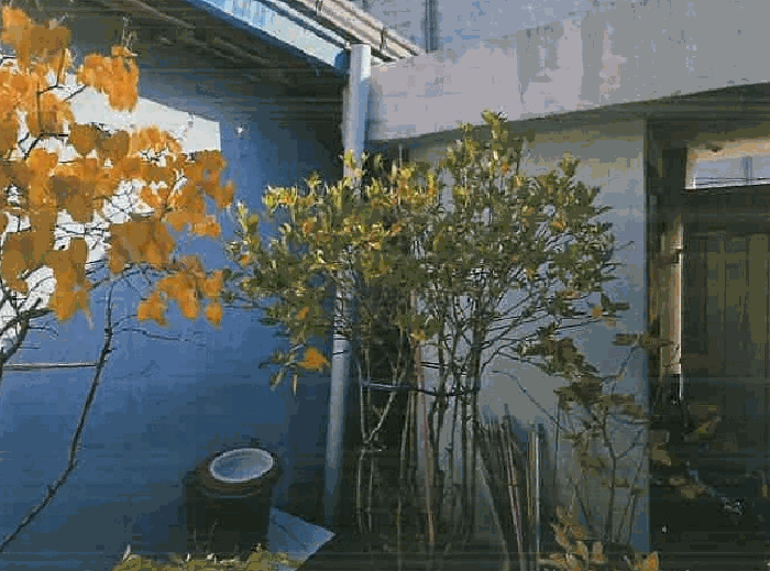 【 제시외건물 ㉢ 】