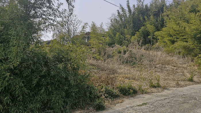 본건 전경