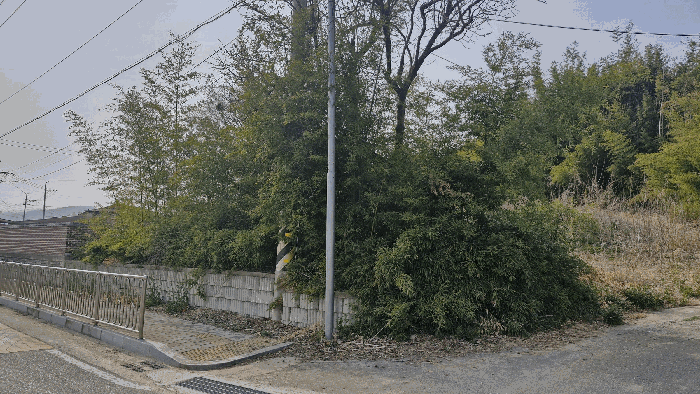 본건 전경