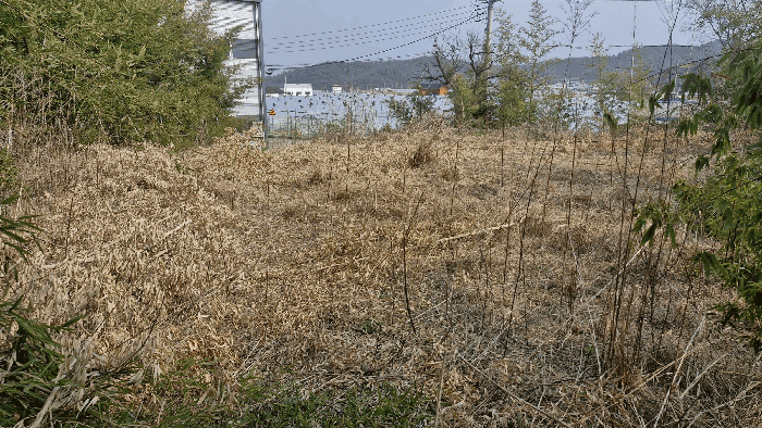 본건 전경