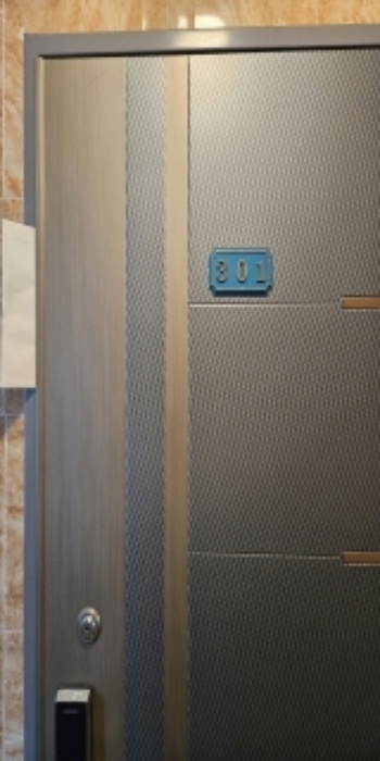 301호 현관문