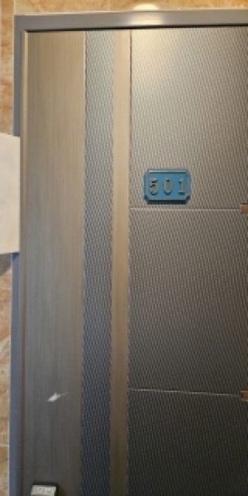 501호 현관문