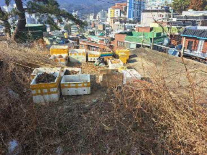 본건 목록2(초읍동 394-1) 전경