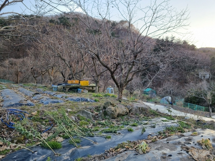 본건(2) 전경