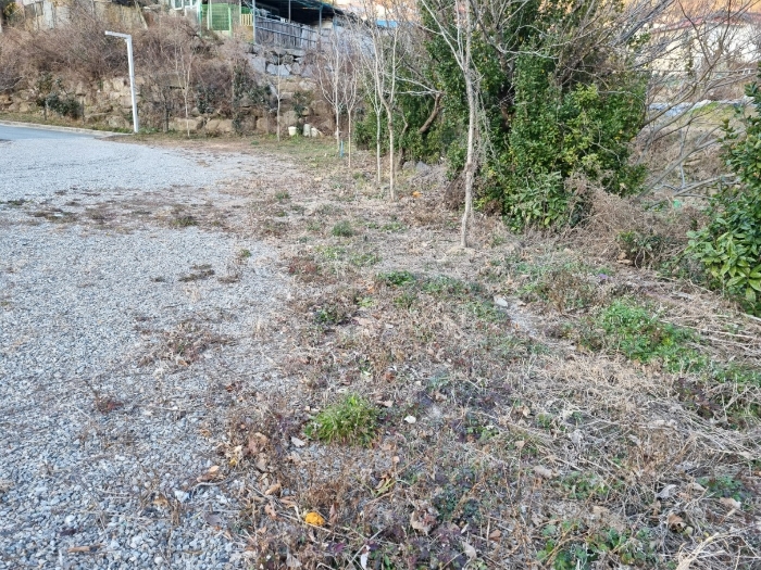 본건(3) 전경