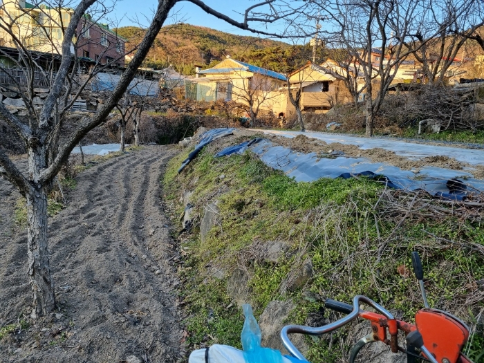 본건(2) 전경