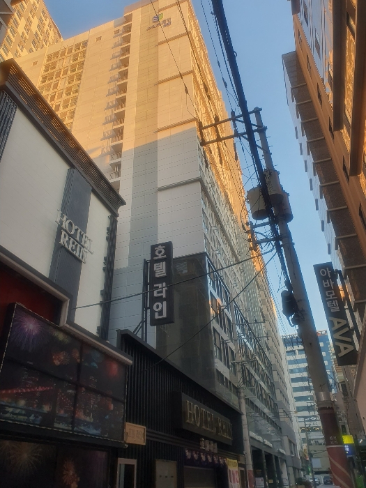 2024타경66602