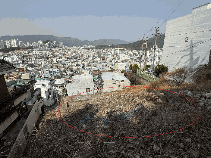 2025타경21656