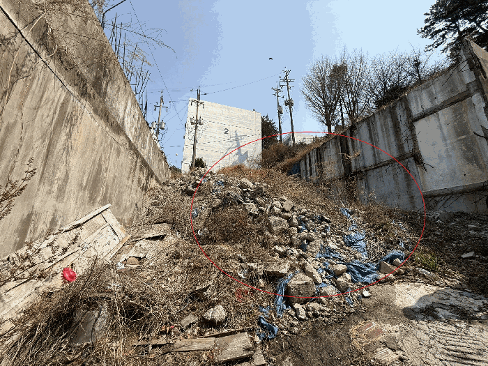 2025타경21656