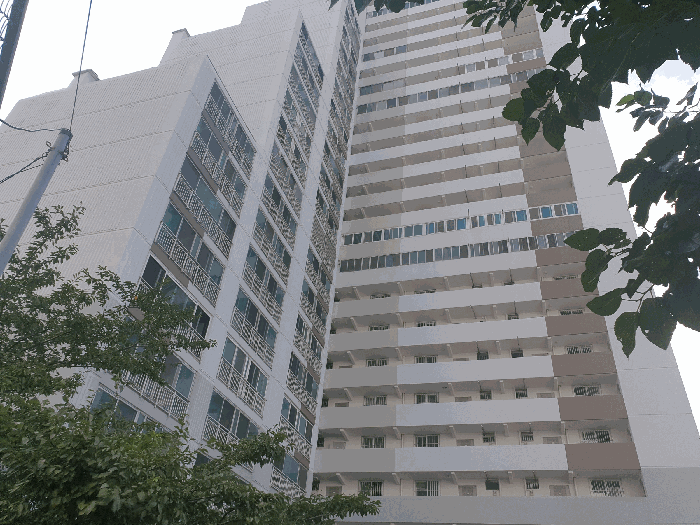 본건 전경