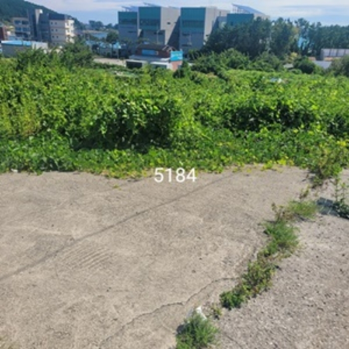 2번부동산