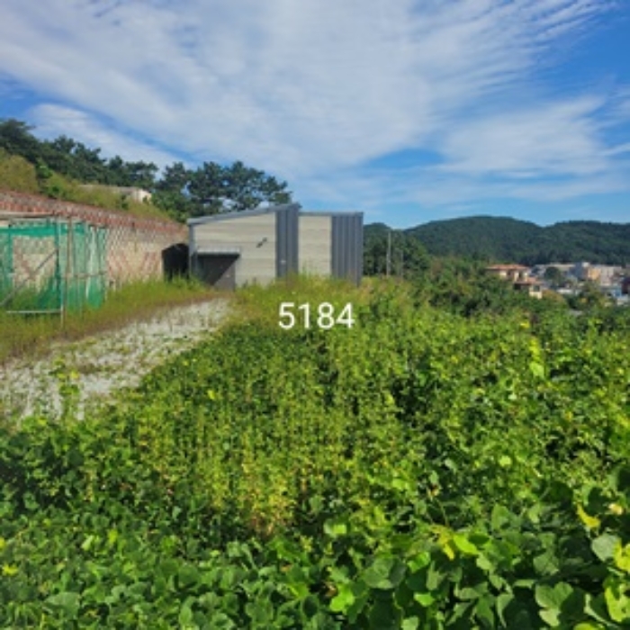 1번,3번 부동산