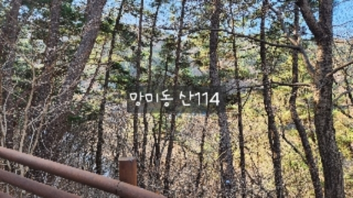 금련로 80(우암사 위쪽)
