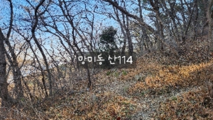 금련로 80(우암사 위쪽)