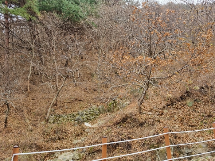 본건 전경