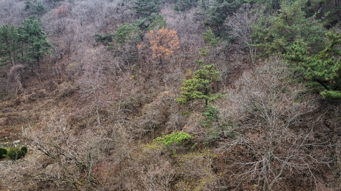 본건 전경(드론)