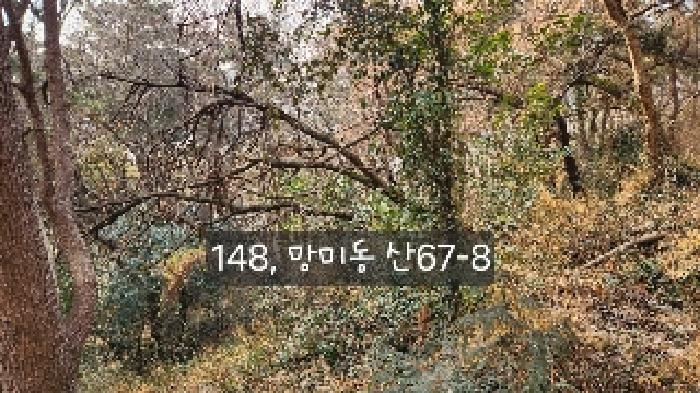 본건 목록 2.