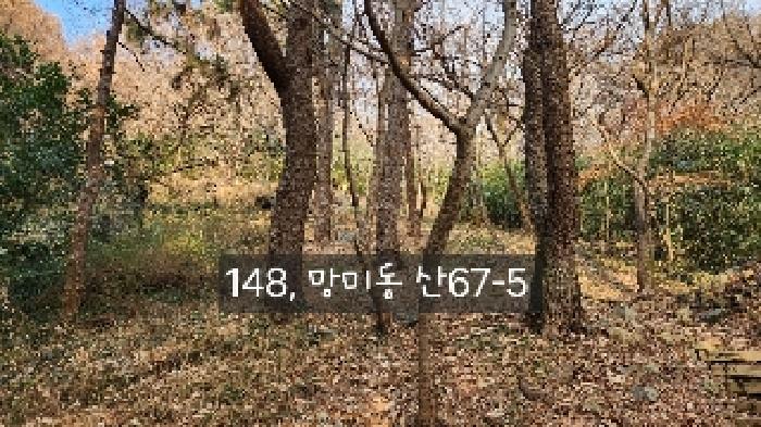 본건 목록 1.