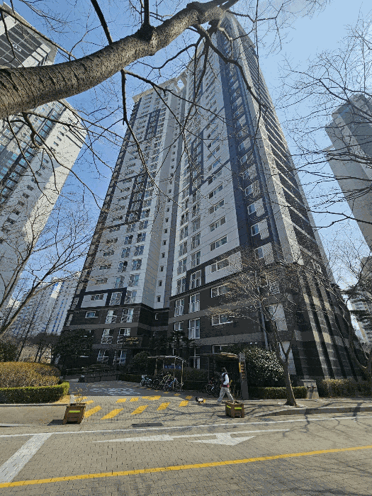 2025타경401