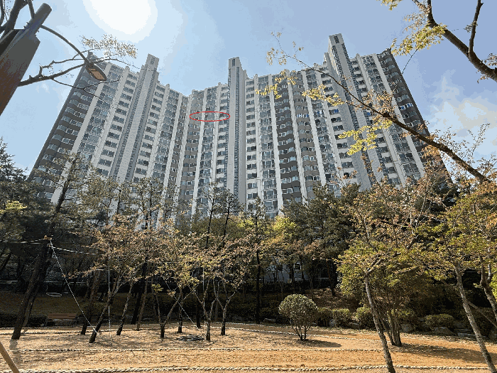 본건 전경