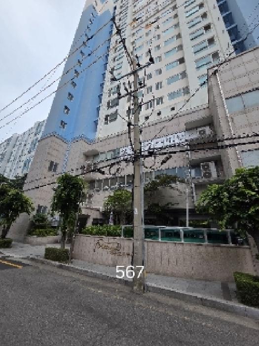 본건 호실