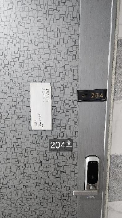 204호