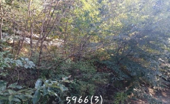 2025타경5966[1]