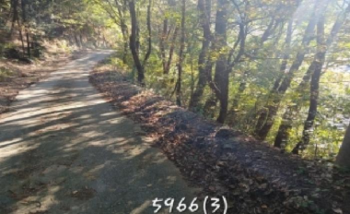 2025타경5966[1]
