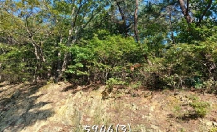 2025타경5966[1]
