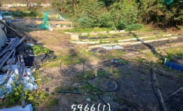 2025타경5966[1]