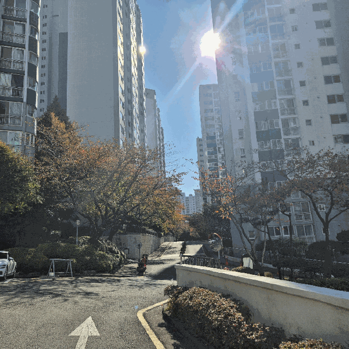 2025타경6012