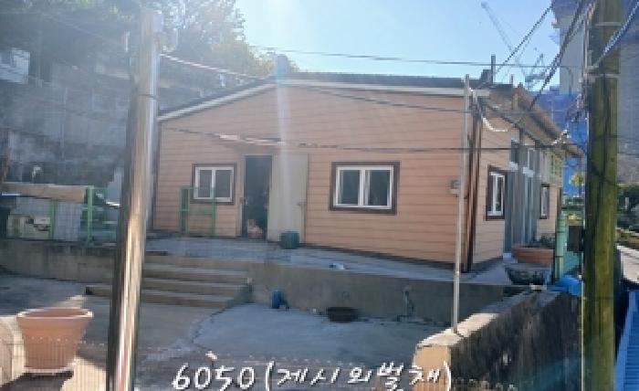 2025타경6050