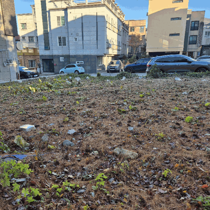 2025타경6091