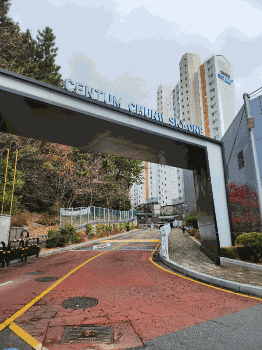 본건단지 서측 간선도로변 진입로 전경
