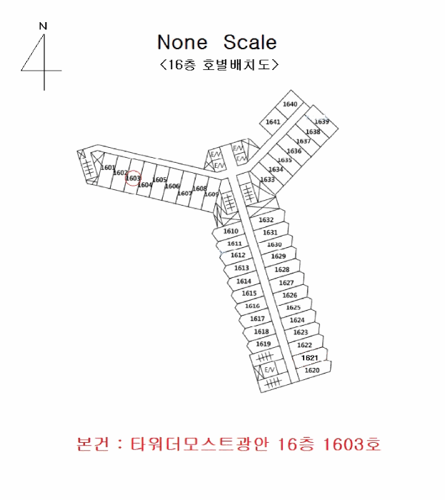 건 물 개 황 도