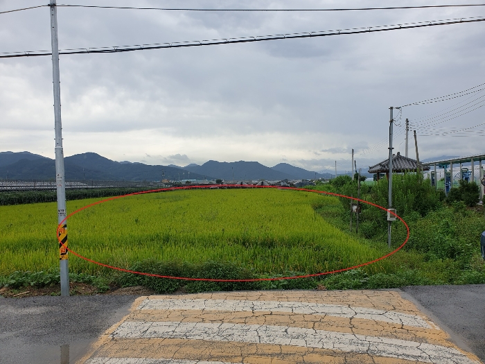 2019타경107051