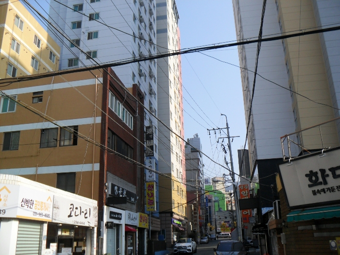 본건 및 주위환경