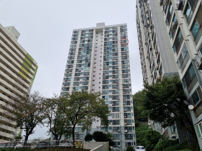 2022타경2781