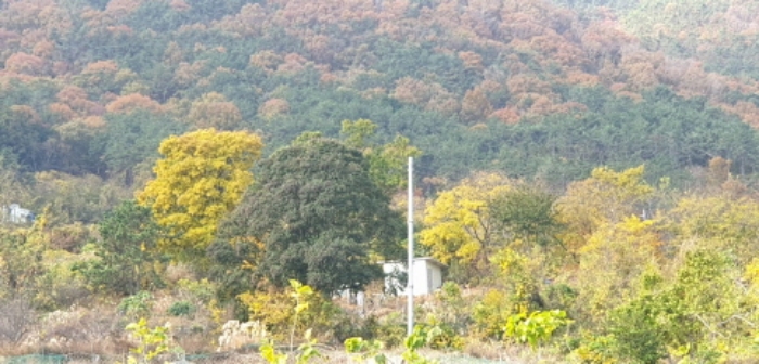 2022타경3180