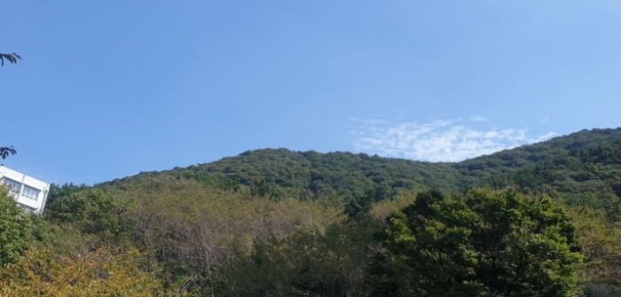 2022타경105871