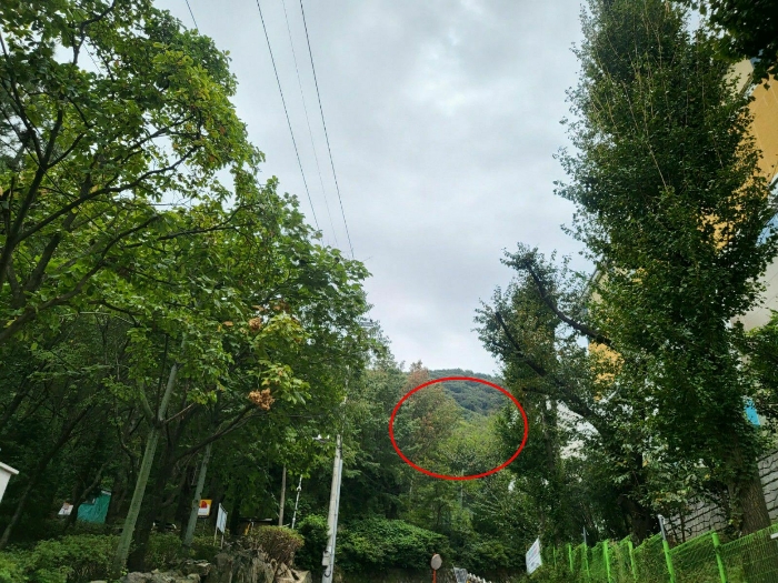 2022타경105871
