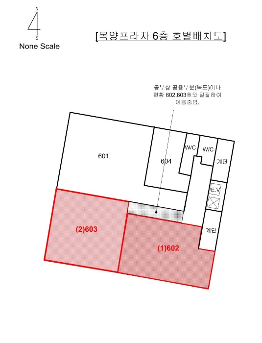 건 물 개 황 도