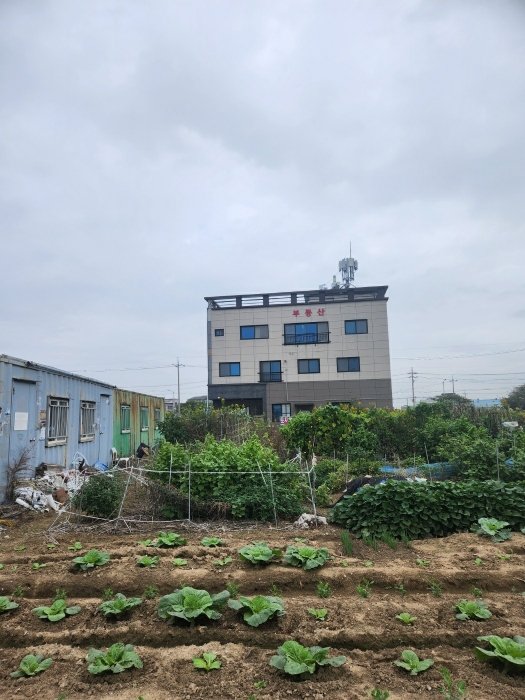 본건 전경