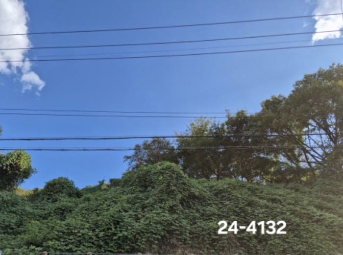 2024타경4132