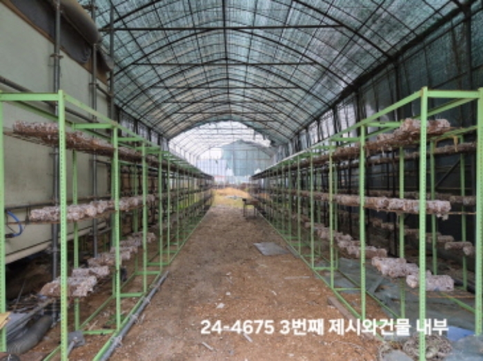 제시외 건물 3의 내부