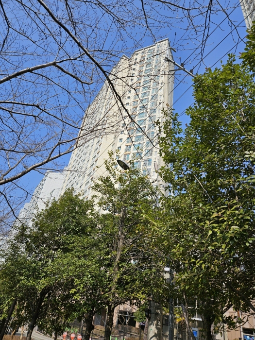 본건 전경